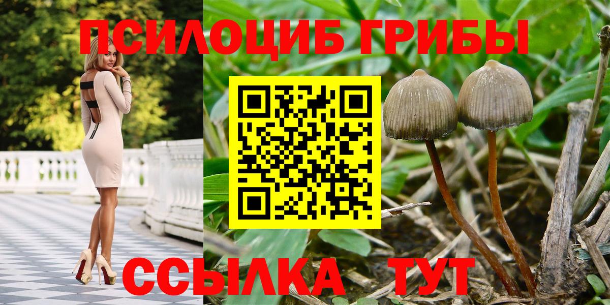 Галлюциногенные грибы GOLDEN TEACHER Междуреченск