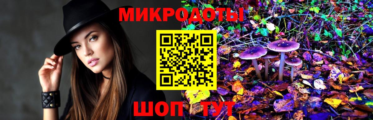 Псилоцибиновые грибы Psilocybe  Вход с VPN  Псилоцибиновые грибы ЛСД  Междуреченск 